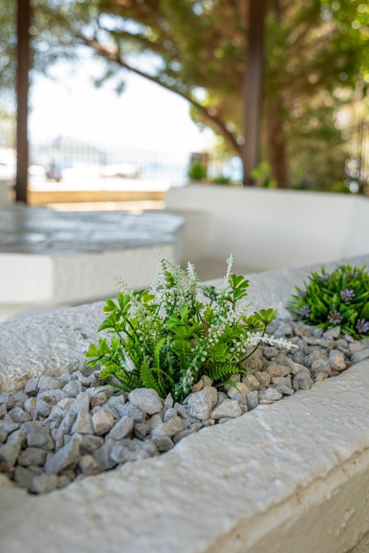 Alkis Guest House By Aegiankazarte Kapotidhes Ngoại thất bức ảnh